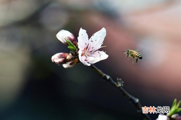 正所谓养儿一百岁 父母对于子女的三种忙，不管你多爱他们都要懂得拒绝