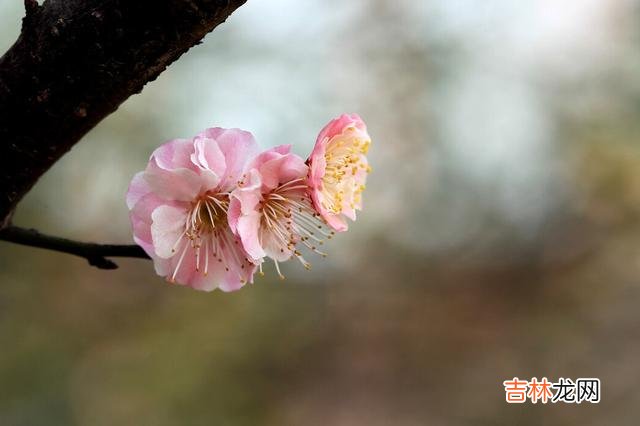 正所谓养儿一百岁 父母对于子女的三种忙，不管你多爱他们都要懂得拒绝