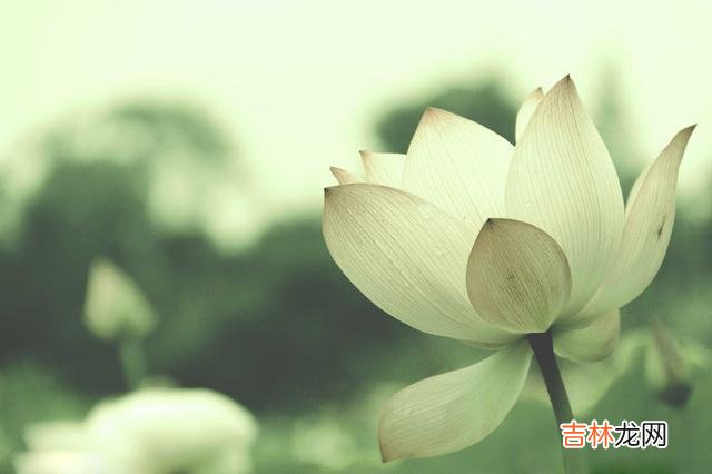 一个人的命运终究是握在自己手里的。|敢跟这四种人翻脸，越是懂得拒绝，活得越是自在
