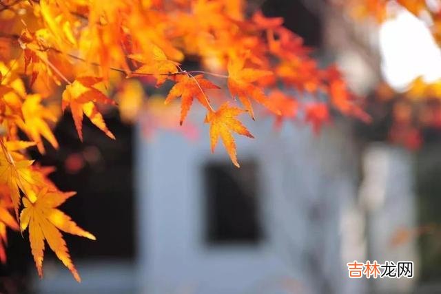 你发现了吗？人活到一定年纪就没有朋友了 没有朋友也不想社交，这三种心理，反而说明你很不简单