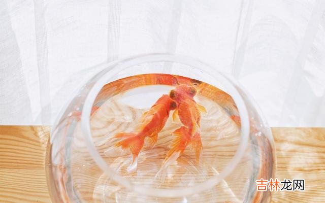 四十岁是人生的一道分水岭。|女人过了四十岁，越是拒绝做这三件事，越是容易讨人厌