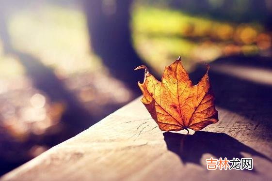 人与人之间的相遇 有人说，喜欢一个人是心动，爱一个人则是心定