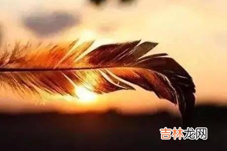 人与人之间的相遇 有人说，喜欢一个人是心动，爱一个人则是心定