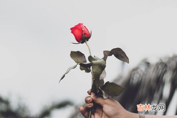 在儿子和儿媳之间，这三件事，你一定要知道