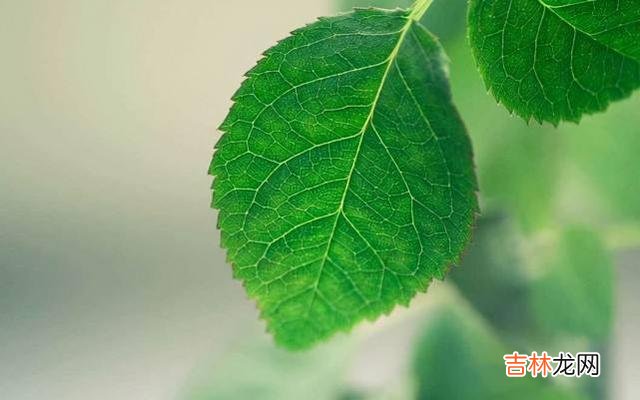 当你爱的人不爱你了，记住三个字你就赢了