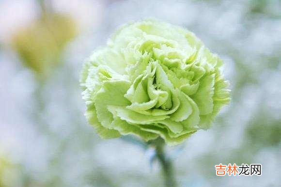当你爱的人不爱你了，记住三个字你就赢了