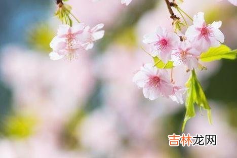 很多人在年轻时 人生到了下半场，真正拼的并不是妻子，也不是孩子，而是以下两样