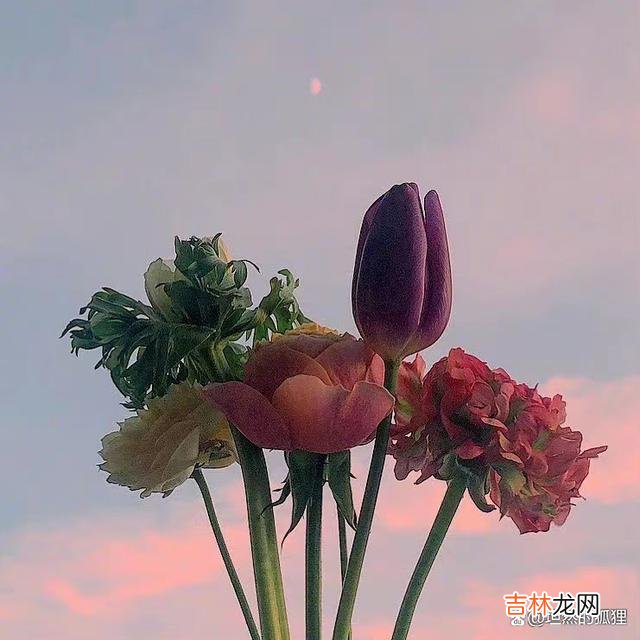 01开篇语:缘分这件事 情爱上的缘分,就是一场遇见,一场持之以恒