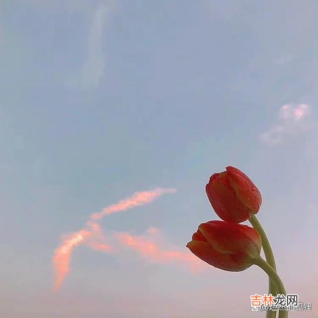 01开篇语:缘分这件事 情爱上的缘分,就是一场遇见,一场持之以恒