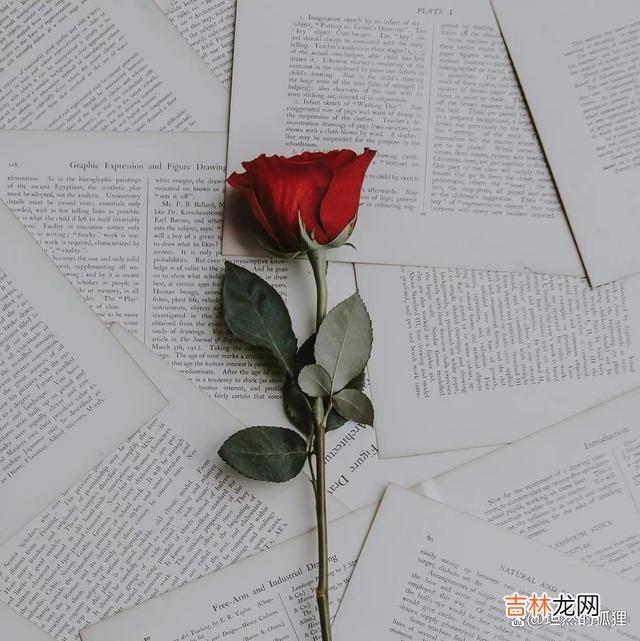 写在开始：记得 结婚纪念日，男女相爱，从不是两个人在一起过日子