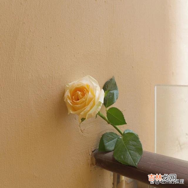 写在开始：记得 结婚纪念日，男女相爱，从不是两个人在一起过日子