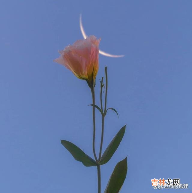写在开始：记得 结婚纪念日，男女相爱，从不是两个人在一起过日子