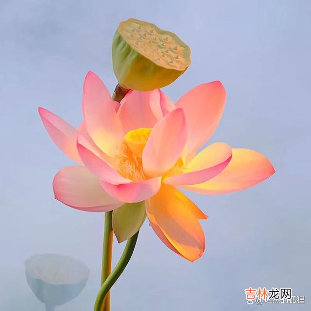 开篇语：很多人都会说...|夫妻间能够懂得“命运相连”这个道理，多半就是掌握了上等风水的