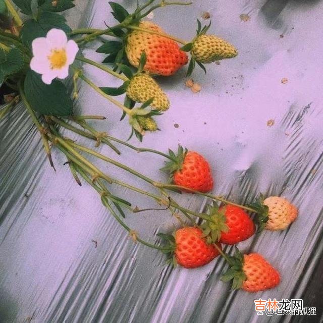 开篇语：很多人都会说...|夫妻间能够懂得“命运相连”这个道理，多半就是掌握了上等风水的