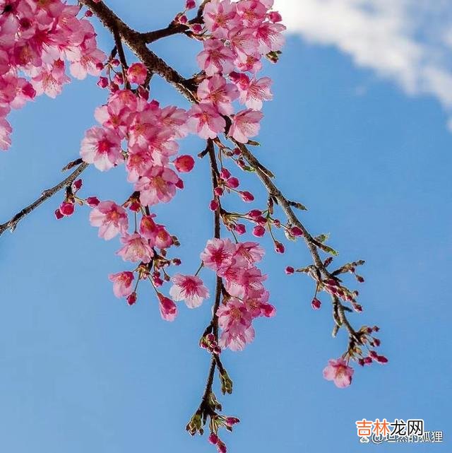 西湖边上 男人想要的“好姻缘”，大都是男女之间，一场纯遇见