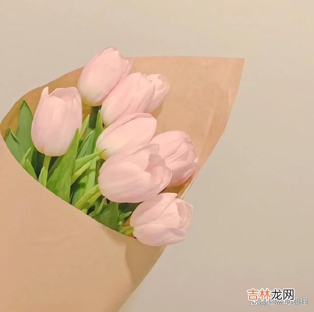 还记得 男人的这些“情话”，其实还是很值得揣测的