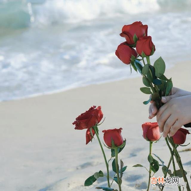 写在开始：爱情 当女人养成这三个处事习惯，男人越来越想要好好爱你