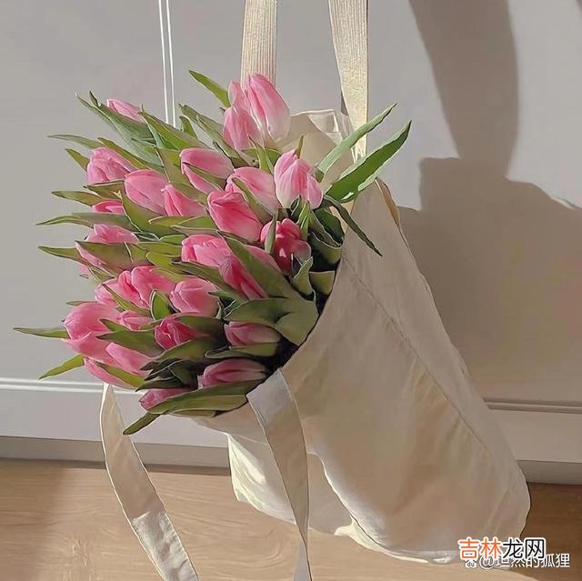 写在开始：都说 男人身上有这三个特征，就算你再爱他，也要学会转身离开