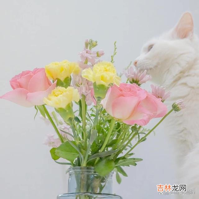 写在开始：都说 男人身上有这三个特征，就算你再爱他，也要学会转身离开