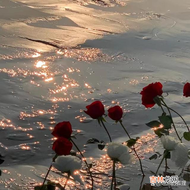 写在开始:当年 两人相爱,从不是一直寻觅新鲜感,真正的“刚需”,应该是这句话