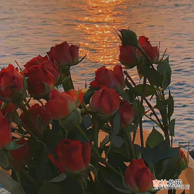 写在开始:当年 两人相爱,从不是一直寻觅新鲜感,真正的“刚需”,应该是这句话