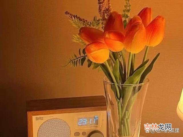 好的夫妻关系,大都会偶尔“屏蔽”,让两个人之间更加平衡