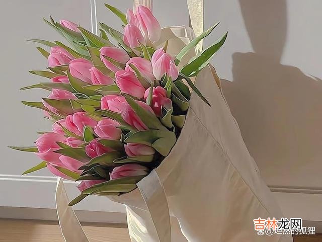 好的夫妻关系，大都会偶尔“屏蔽”，让两个人之间更加平衡