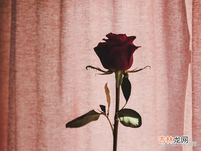 有人问：忘记一个深爱的人 当一个人对你做过这三件事，多半会忘不了，放不下他