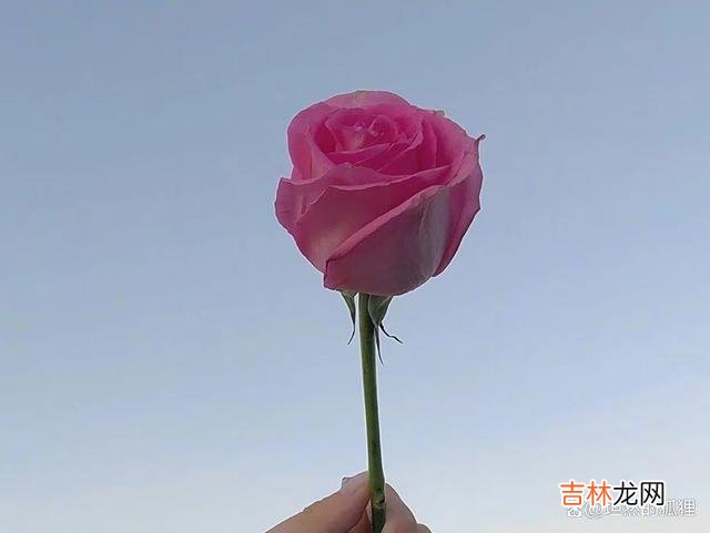 有人问：忘记一个深爱的人 当一个人对你做过这三件事，多半会忘不了，放不下他
