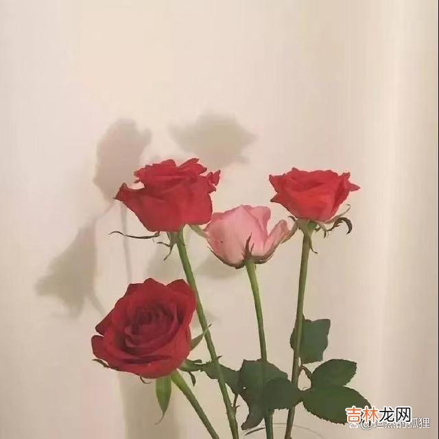 一个会“作”的女人，其实很惹男人怜爱