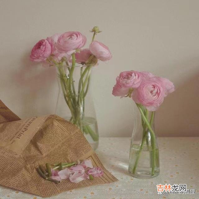 中年夫妻 中年女人的“江湖气”,就是男人眼里,最让他着迷,放不下的气质