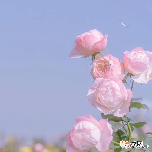 01开篇语：“万物皆有裂缝 安静的心境，是我们实现人生价值的必要底牌