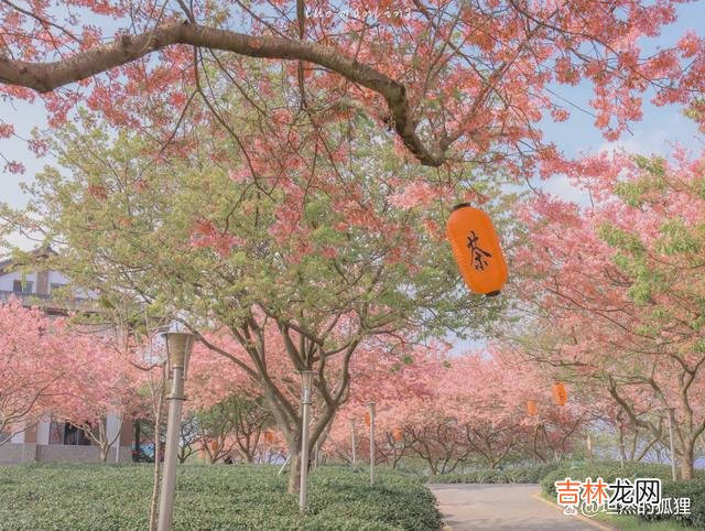 -01-先来说一个案...|二婚后能够找到一个更好的男人,多半就在于,她手里有筹码