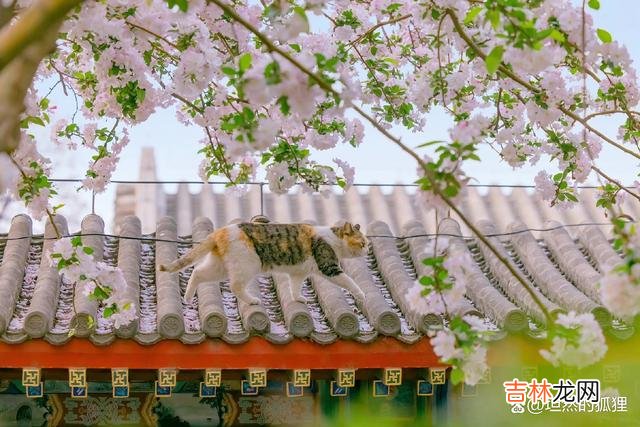 -01-先来说一个案...|二婚后能够找到一个更好的男人,多半就在于,她手里有筹码