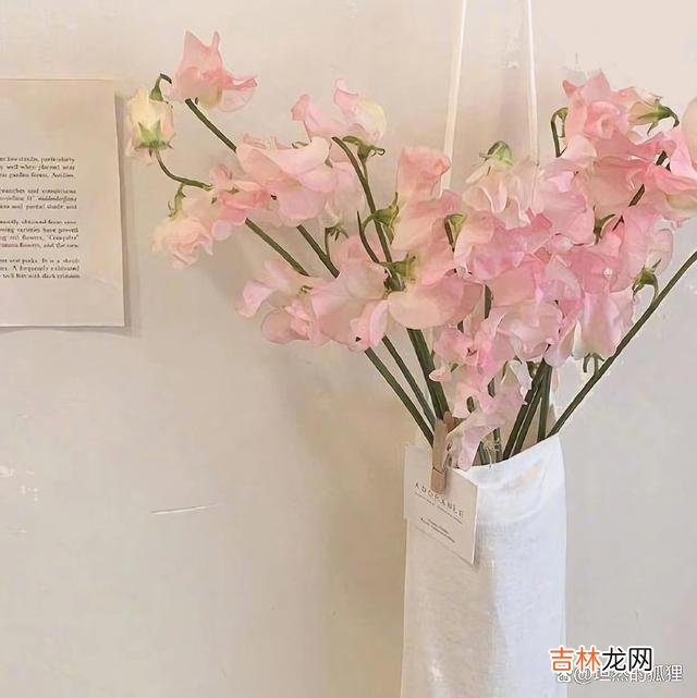 -01-张爱玲曾说：因为懂得 最好的爱情，就是女人“冷”一点，男人“热”一点