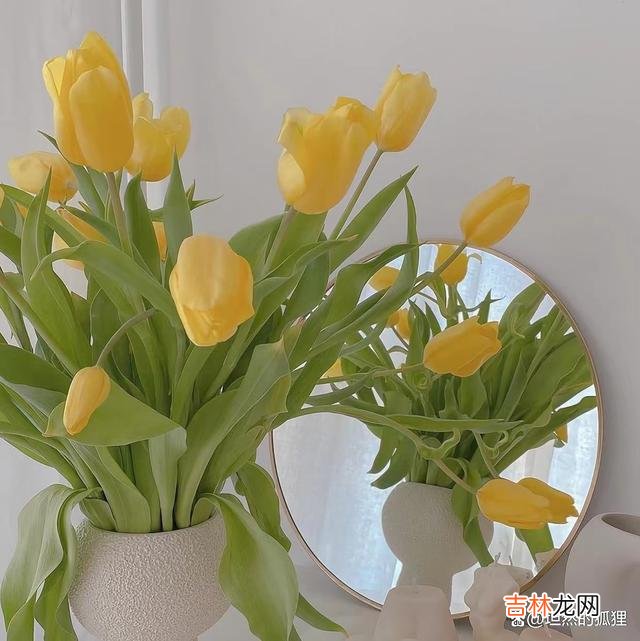 -01-张爱玲曾说：因为懂得 最好的爱情，就是女人“冷”一点，男人“热”一点