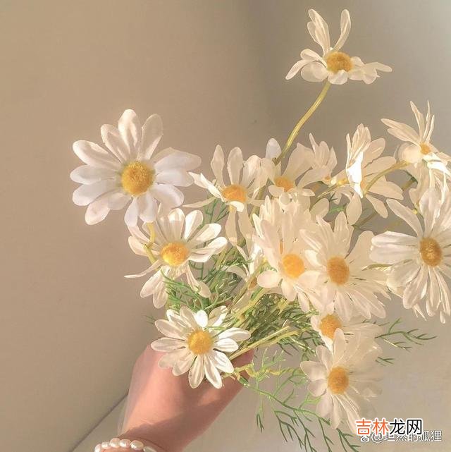 大多数婚姻成功的女人，在情爱世界里，绝对不是一般人