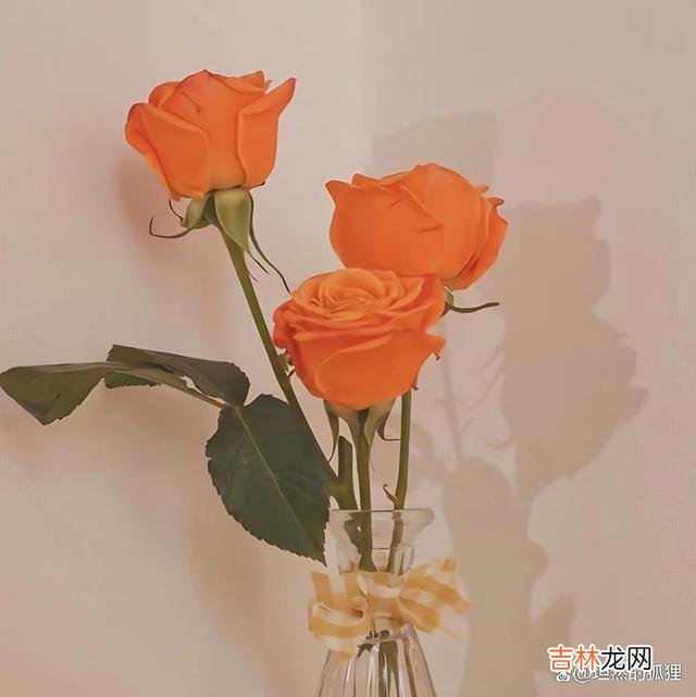 大多数婚姻成功的女人，在情爱世界里，绝对不是一般人