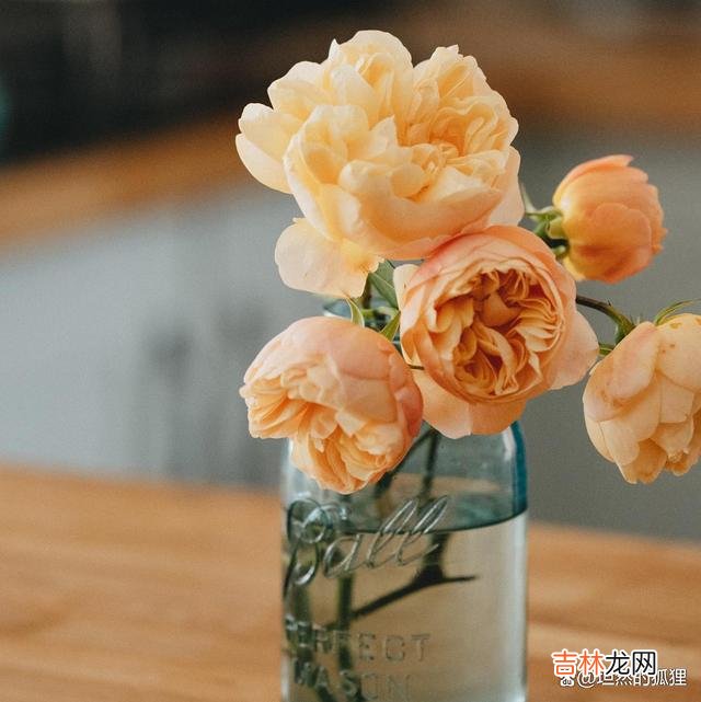 大多数婚姻成功的女人，在情爱世界里，绝对不是一般人