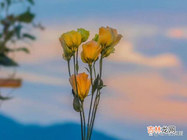 -01-<stron...|当男人不爱了，此时，你需要做的是这三点，重新来建立吸引