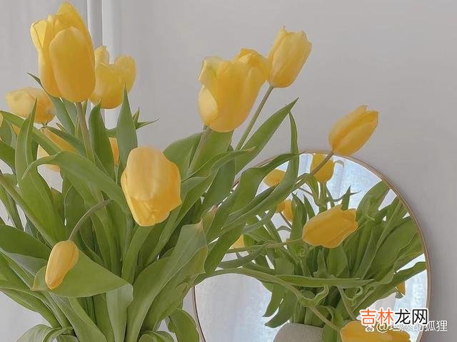 -01-<stron...|当男人不爱了，此时，你需要做的是这三点，重新来建立吸引