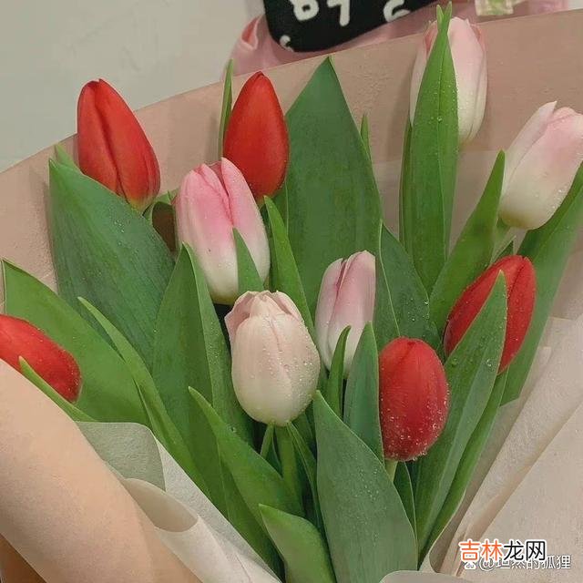 -01-写在开始：还记得网上曾有一个讨论：女人在生病的...|感情里，一个人最大的底气，就是你“遇到事的时候“，你内心不慌