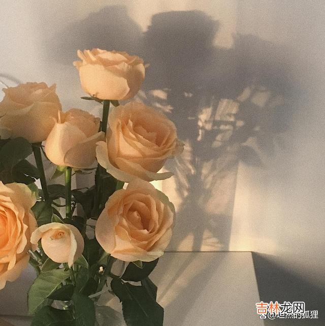 婚姻不易 已婚男人想要的，也不是女人的爱，而是以下这四方面