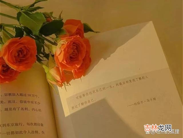 刷到一个女人发的帖子：”我最怕的事情发生了 很多已婚女人，面对男人的出轨，反而会选择隐忍