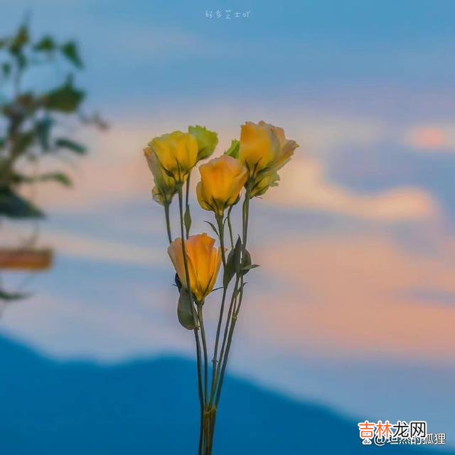 人这一辈子 人到老年，这三件事，不要轻易和孩子说