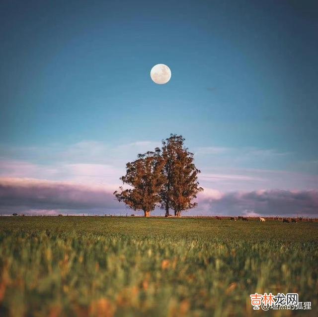 三毛曾说：“岁月极美 人到中年，别慌，慢慢地往前走，时间会告诉你一切