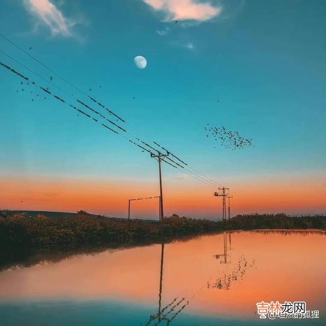 三毛曾说：“岁月极美 人到中年，别慌，慢慢地往前走，时间会告诉你一切