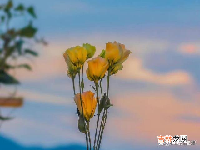 01开篇语:岁月匆匆 记住以下这两句话,就是亲人之间最好的关系