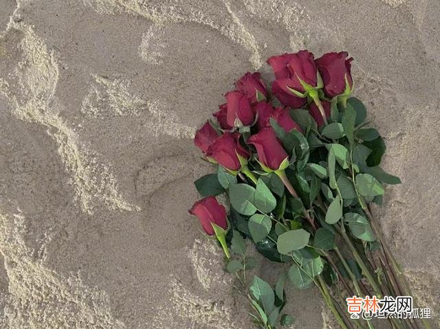 《三十而已》看到最后 女人的婚姻，越往后走，你越会感受到，和谁在一起都一样