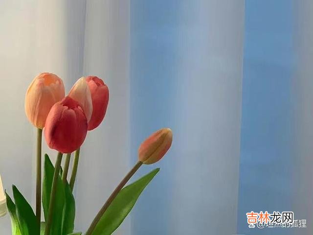 《三十而已》看到最后 女人的婚姻，越往后走，你越会感受到，和谁在一起都一样